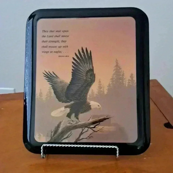 Frame EAGLE GLOSSY WOOD WITH ISAIAH 40:31 SCRIPTURE BY KIRKWOOD DECOR - Picture 1 of 5